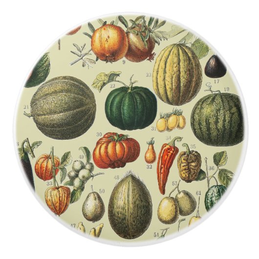 Vintage French Botanical Fruit Poster Art セラミックノブ (正面)