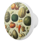 Vintage French Botanical Fruit Poster Art セラミックノブ (右)