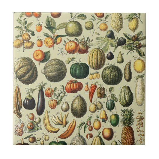 Vintage French Botanical Fruit Poster Art タイル (正面)