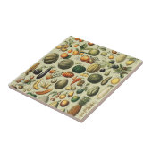 Vintage French Botanical Fruit Poster Art タイル (側面)