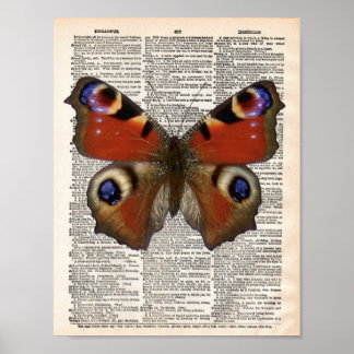 Vintage French dictionary with Peacock butterfly ポスター