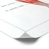 Vintage French Human Anatomy Chart ポスター (角)