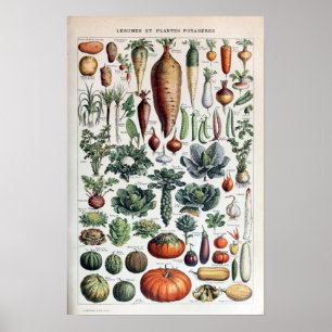 Vintage French Vegetables and Vegetable Plants ポスター