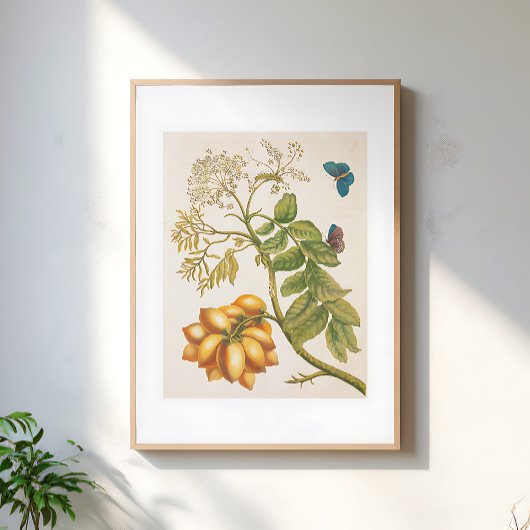 Vintage Fruit Plant With Butterflies Art ポスター