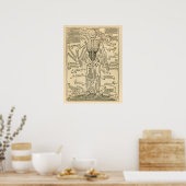 Vintage German Anatomy Print of Bones Skeleton ポスター (キッチン)