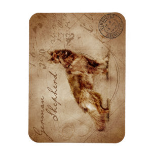 Vintage german shepherd magnet マグネット