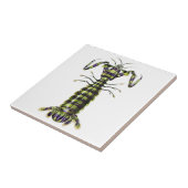 Vintage Giant Mantis Shrimp Marine Art Print タイル (側面)
