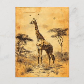 Vintage Giraffe Südafrika Savanne Postcard ポストカード