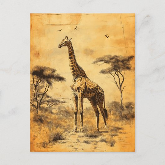 Vintage Giraffe Südafrika Savanne Postcard ポストカード (正面)
