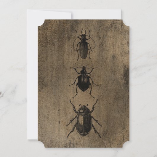 Vintage Goth Halloween Party 招待状 (裏面)