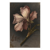 Vintage Gothic Botanical Flower Study Art フォトプリント (正面)