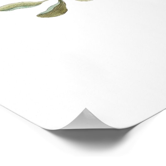 vintage green botanical poster ポスター (角)