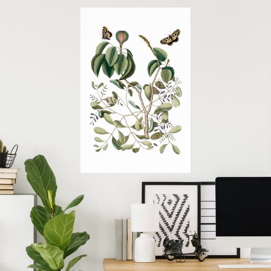 vintage green botanical poster ポスター (ホームオフィス)