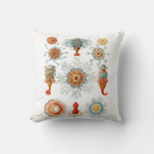 Vintage Haeckel Siphonophore Marine Life Jellyfish クッション (正面)