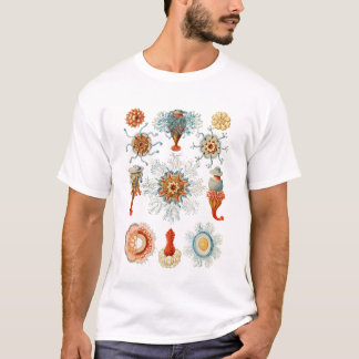 Vintage Haeckel Siphonophore Marine Life Jellyfish Tシャツ