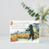 Vintage Halloween Black Cat Mice Mouse Postcard ポストカード (スタンド正面)