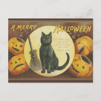 Vintage Halloween postcard with pumpkins and cat シーズンポストカード