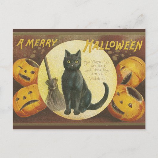 Vintage Halloween postcard with pumpkins and cat シーズンポストカード (正面)