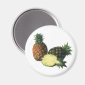 Vintage Hawaiian Pineapples, Organic Food Fruit マグネット (正面/裏面)
