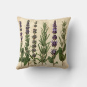 Vintage Herb Pillow - Botanical Rosemary Lavender  クッション (裏面)