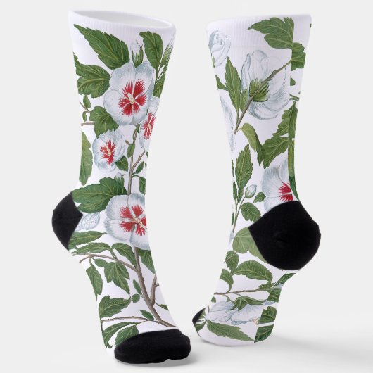 Vintage Hibiscus Flowers by Basilius Besler ソックス (傾斜あり)