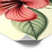 Vintage Hibiscus on Weathered Paper ポスター (角)