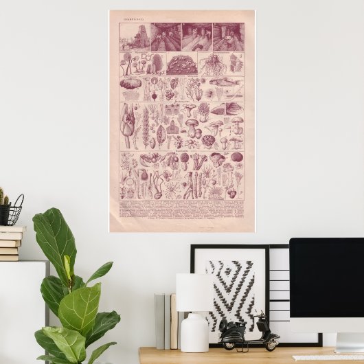 VIntage historic 1920  Mushrooms ポスター (ホームオフィス)