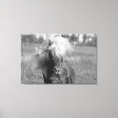 Vintage Horse Black and White キャンバスプリント (正面)