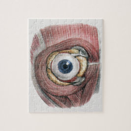 Vintage Human Anatomy, Eyeball Eye with Muscles ジグソーパズル