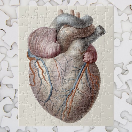 Vintage Human Anatomy Heart Organs Healthy ジグソーパズル