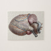 Vintage Human Anatomy Heart Organs Healthy ジグソーパズル (横)