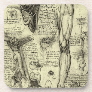 Vintage Human Anatomy Larynx Leg Leonardo da Vinci コースター
