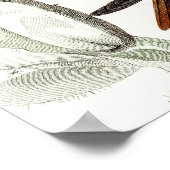 Vintage Hummingbird Illustration - 1800's Birds ポスター (角)