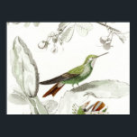 Vintage Hummingbird Illustration - 1800's Birds ポスター<br><div class="desc">Posters - Customized Horizontal Poster Print Template Blank Personalize with your own name, pattern, design, quote, monogram, photograph. Use our cool templates, artwork, photos, graphics, and illustrations, then add names, text, quotes, and monograms to create your own poster. Click the "Customize it!" button to make it personalized or monogrammed. These...</div>