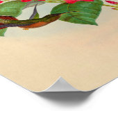 Vintage Hummingbird Print Red Flowers ポスター (角)
