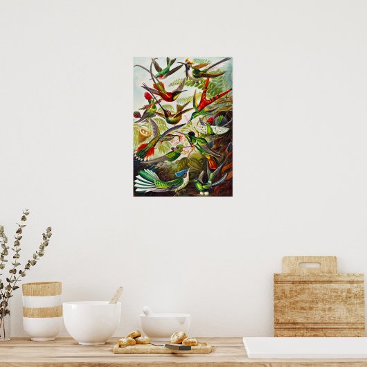 Vintage Hummingbirds by Ernst Haeckel ポスター (キッチン)