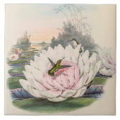 Vintage Hummingbirds by John Gould タイル (正面)