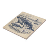 Vintage Humpback Whale Pod Engraving タイル (側面)