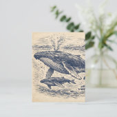 Vintage Humpback Whale Pod Engraving ポストカード (スタンド正面)