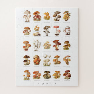 Vintage illustration edible non-edible mushrooms ジグソーパズル