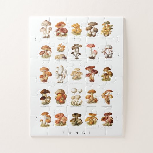 Vintage illustration edible non-edible mushrooms ジグソーパズル (縦)