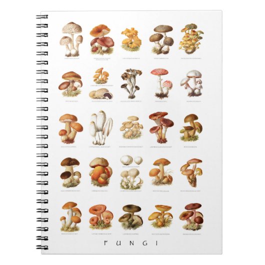 Vintage illustration edible non-edible mushrooms ノートブック (正面)