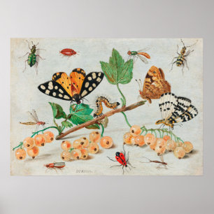 Vintage illustration of butterflies on berries ポスター