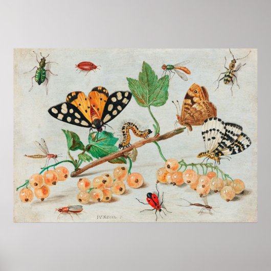 Vintage illustration of butterflies on berries ポスター (正面)