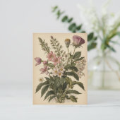 Vintage Illustration of Wildflowers  ポストカード (スタンド正面)