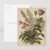 Vintage Illustration of Wildflowers  ポストカード (正面/裏面)
