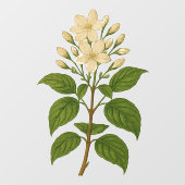 Vintage Jasmine ウィンドウサイン (シート)