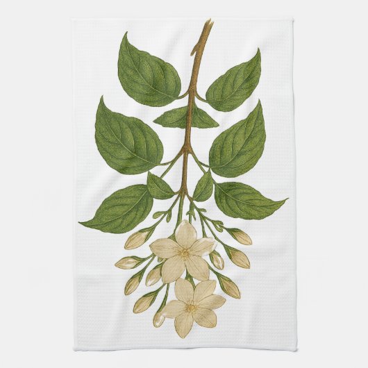 Vintage Jasmine キッチンタオル (縦)