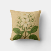 Vintage Jasmine on Weathered Paper クッション (正面)