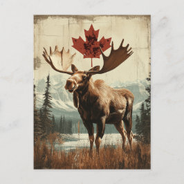 Vintage Kanada Elch Mit Kanadischem Ahornblatt ポストカード